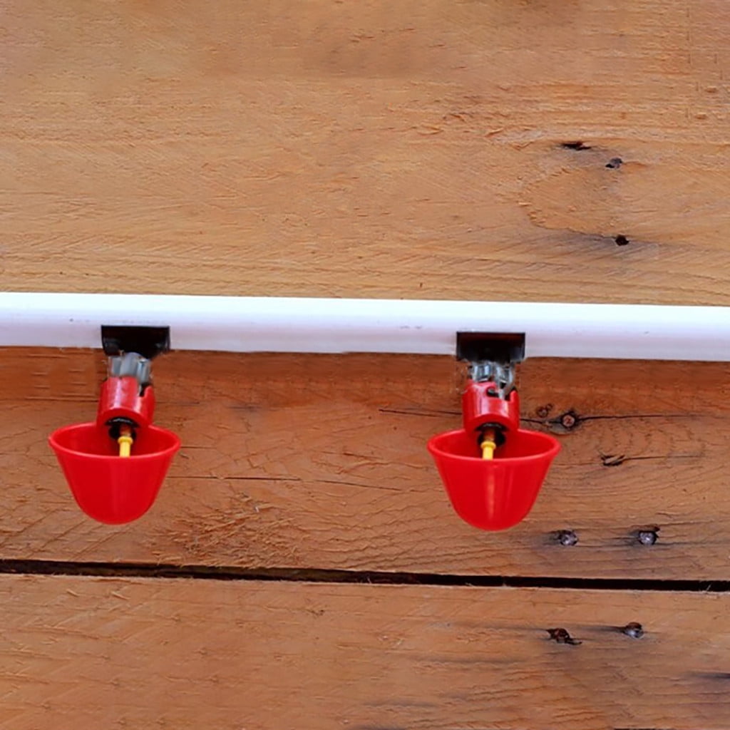 Feed Automatic Bird Coop Poultry Chicken Fowl Drinker Water Drinking Cups 24Pcs